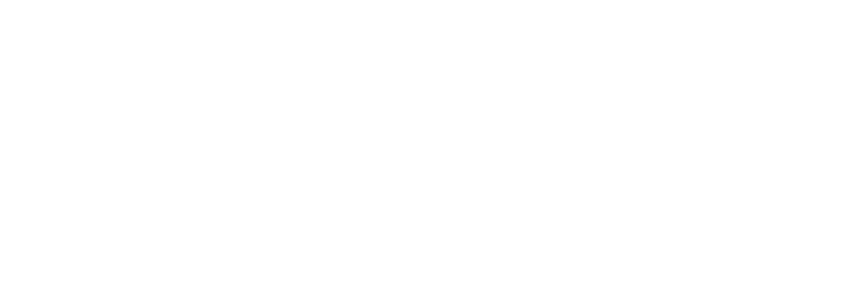 Gi Group Holding